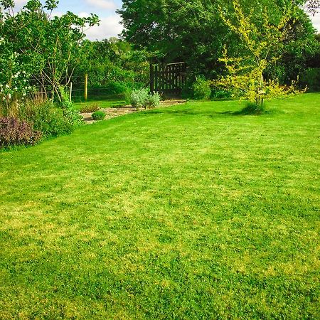 The Well Meadow B&B Nenagh ภายนอก รูปภาพ