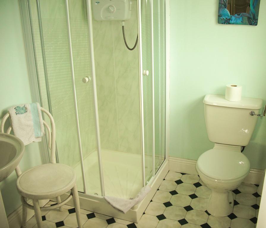 The Well Meadow B&B Nenagh ห้อง รูปภาพ