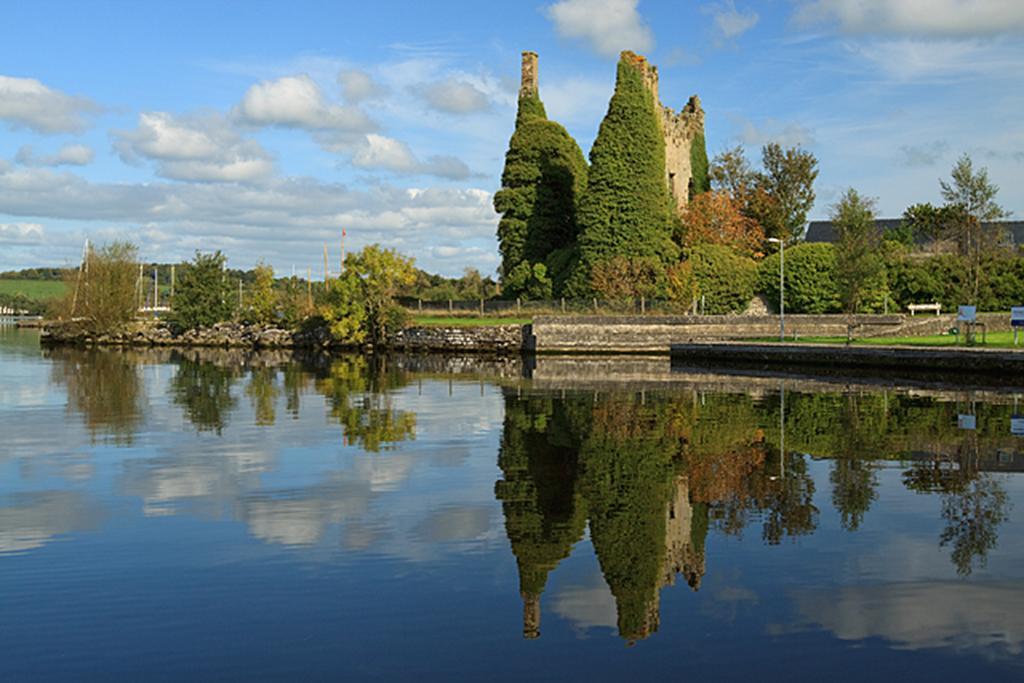 The Well Meadow B&B Nenagh ภายนอก รูปภาพ