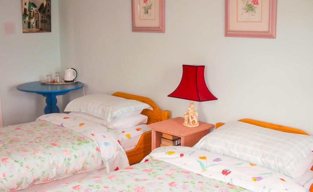 The Well Meadow B&B Nenagh ห้อง รูปภาพ
