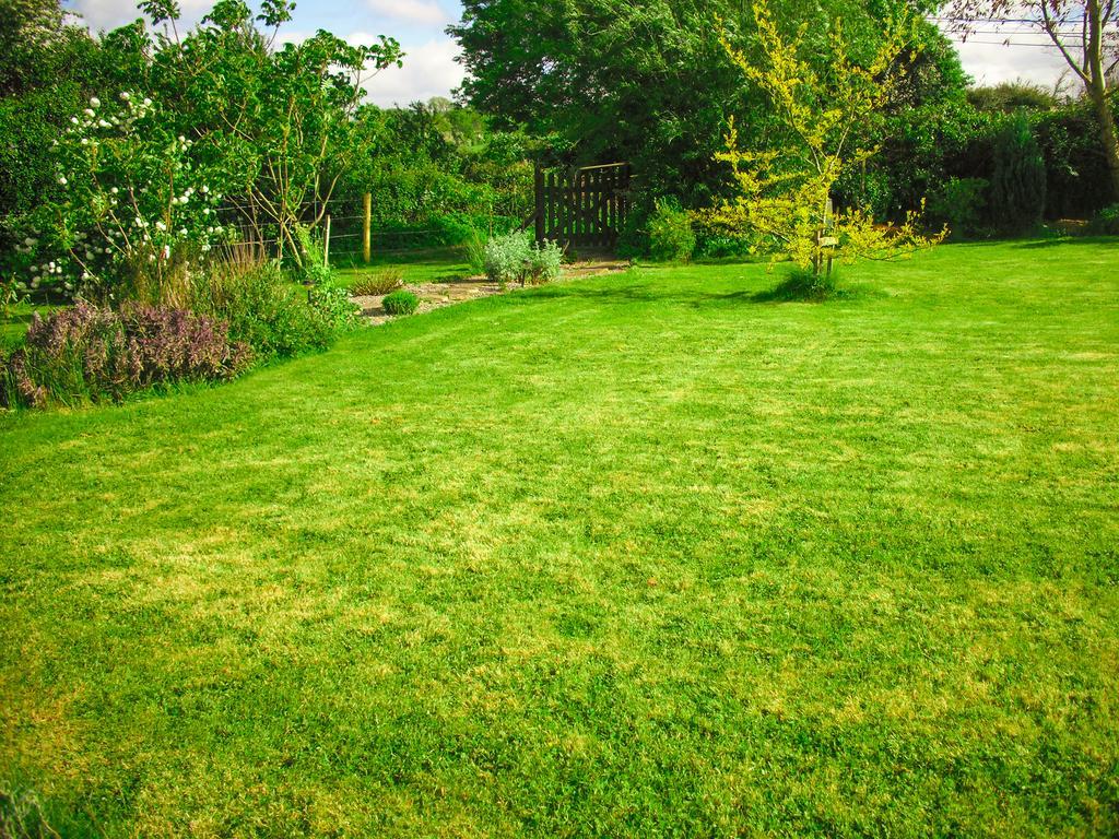 The Well Meadow B&B Nenagh ภายนอก รูปภาพ
