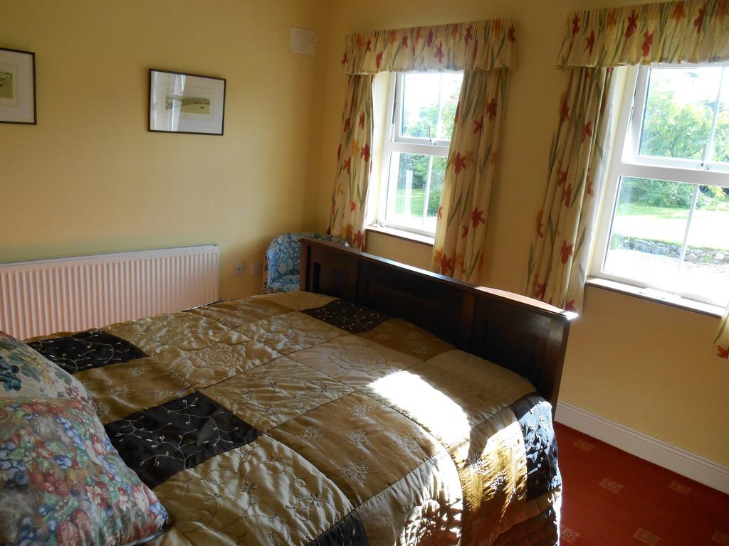 The Well Meadow B&B Nenagh ห้อง รูปภาพ