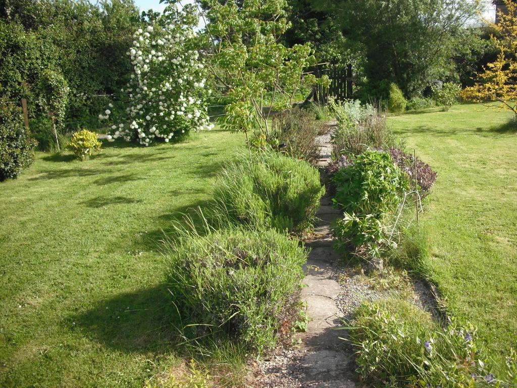 The Well Meadow B&B Nenagh ห้อง รูปภาพ