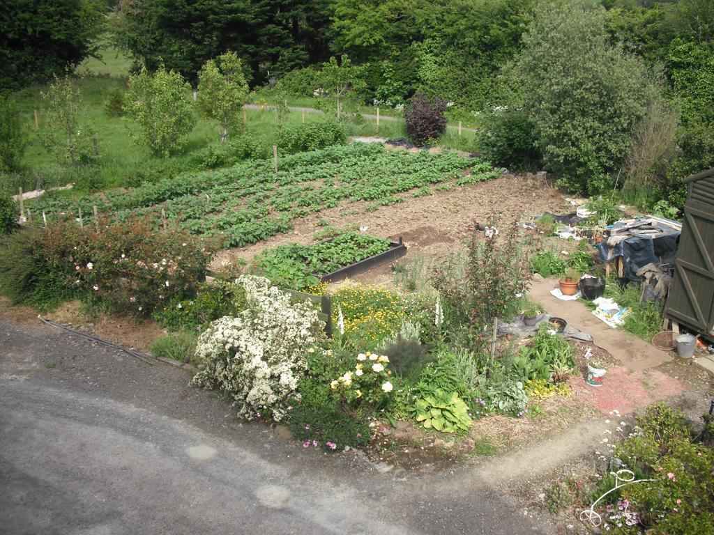 The Well Meadow B&B Nenagh ห้อง รูปภาพ